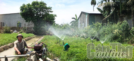 Nông dân phát huy hiệu quả vốn vay ưu đãi