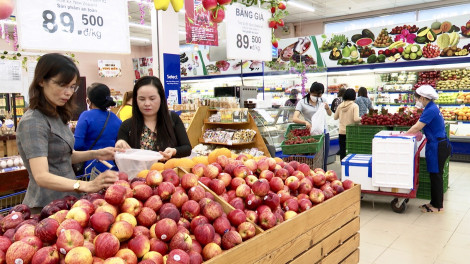 Phát triển thương mại - dịch vụ ở tiểu vùng Tây Sông Hậu