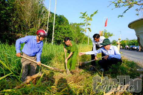 Trồng cây xanh - vun trồng tương lai