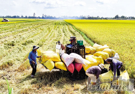 Nâng cao hiệu quả sản xuất nông nghiệp