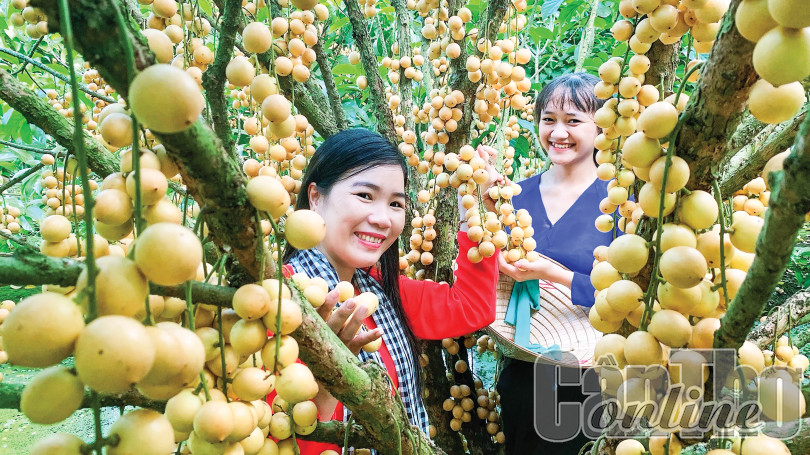 Thúc đẩy phát triển du lịch hiệu quả, bền vững