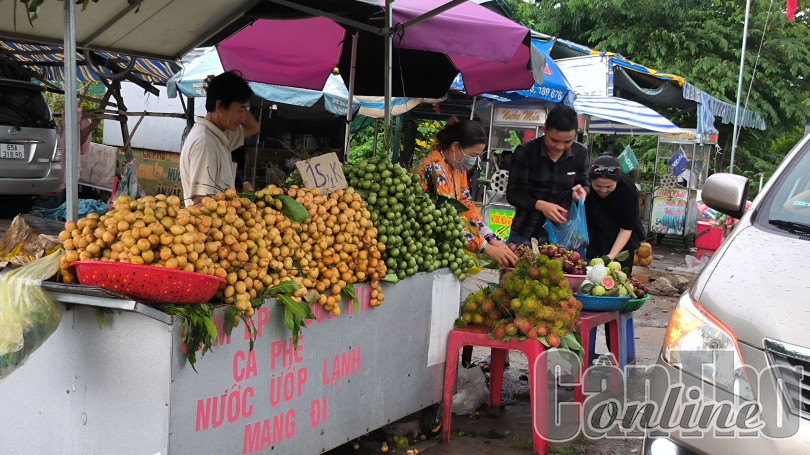 Cần Thơ vào mùa trái cây