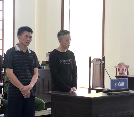 Lừa đảo trong mua bán đất, lãnh án tù
