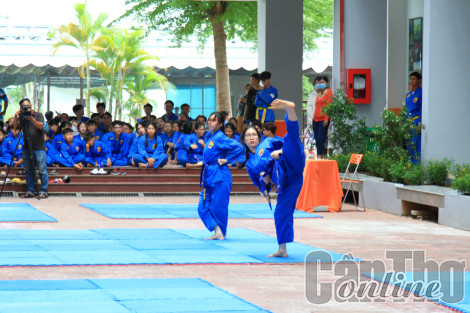 218 võ sinh Vovinam Cần Thơ thi thăng cấp sơ đẳng năm 2023