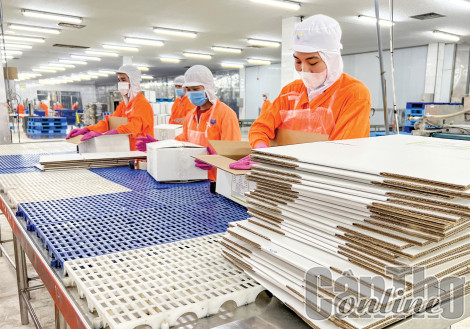 Các khu công nghiệp Cần Thơ thu hút 1,866 tỉ USD vốn đầu tư
