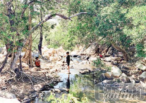 Trekking Vườn quốc gia Núi Chúa