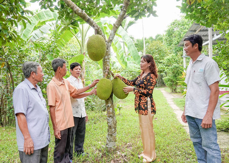 Ðồng hành cùng nông dân làm giàu