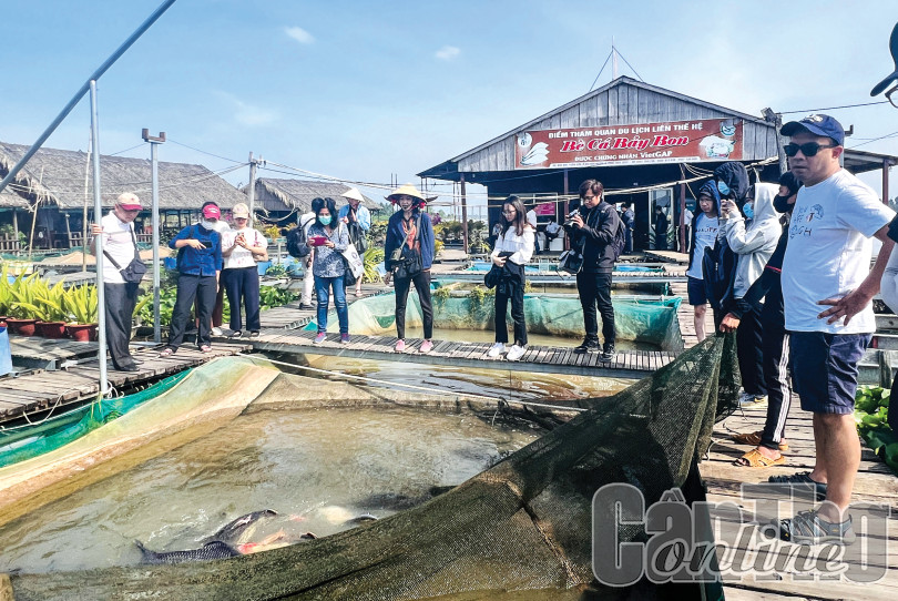 Tích hợp đa giá trị trong phát triển nông nghiệp đô thị