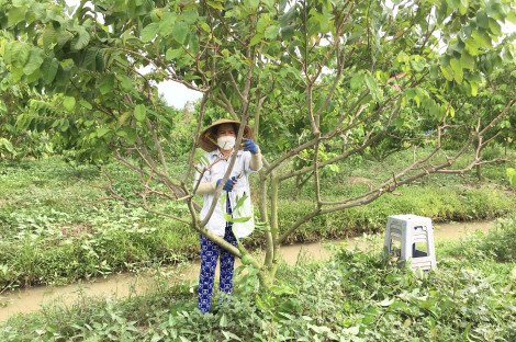 Đồng hành cùng chị em  