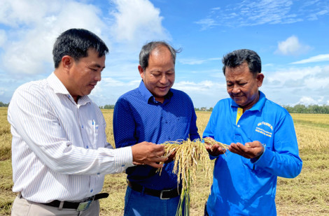 Tỉ phú “nông nghiệp tuần hoàn” nơi biên viễn