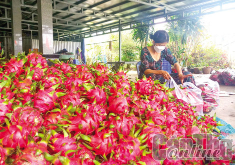 Cần Thơ cùng cả nước chung sức xây dựng nông thôn mới