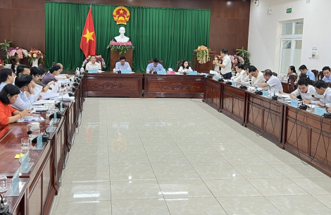Thẩm tra các báo cáo, tờ trình, dự thảo nghị quyết trình tại kỳ họp giữa năm của HĐND thành phố