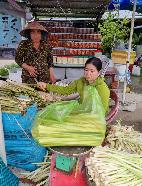 Giá bồn bồn tăng