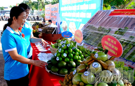 Phong Điền nâng cao chất lượng sản phẩm nông nghiệp
