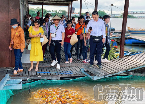 Cần Thơ tìm hướng phát triển du lịch nông nghiệp
