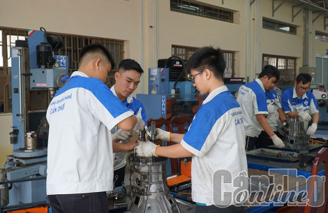 TP Cần Thơ triển khai thực hiện công tác tuyển sinh, đào tạo các trình độ trong giáo dục nghề nghiệp