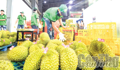 Kim ngạch xuất khẩu hàng hóa ước đạt 164,45 tỉ USD