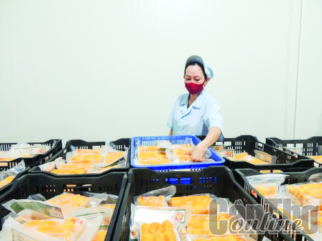 Phát triển kinh tế tư nhân trở thành động lực quan trọng của nền kinh tế