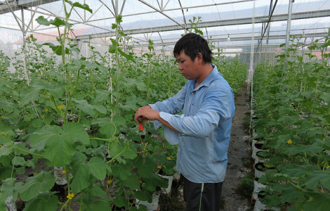 Thúc đẩy cơ giới hóa, ứng dụng khoa học công nghệ trong sản xuất nông nghiệp