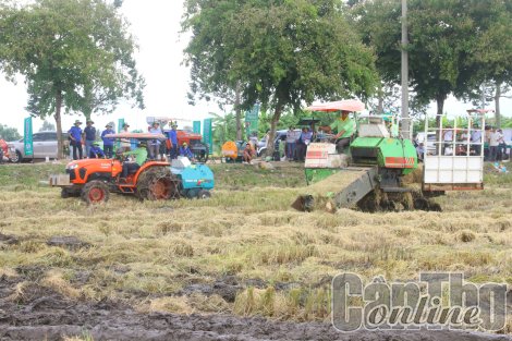 Trình diễn đồng ruộng về công nghệ thu gom, xử lý và sử dụng rơm rạ bền vững
