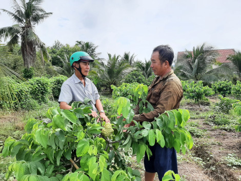 Hành động thiết thực vì dân
