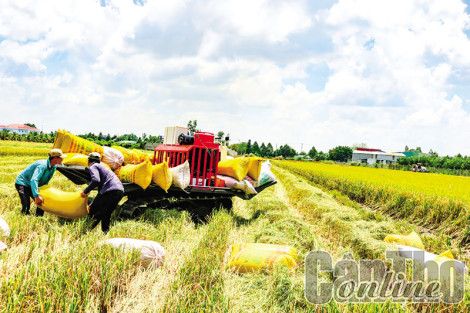 Gỡ khó thúc đẩy phát triển nông nghiệp