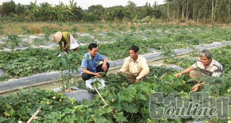 Tập trung nguồn lực giảm nghèo bền vững