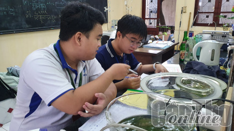 Công bố ngưỡng đảm bảo chất lượng đầu vào nhóm ngành sức khỏe, đào tạo giáo viên năm 2023