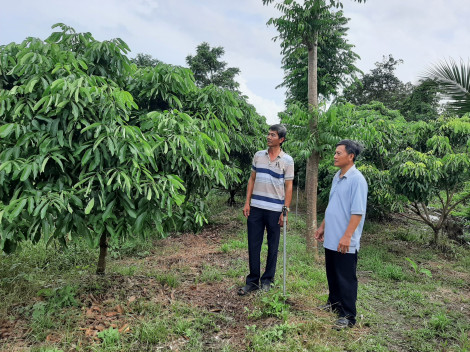 Làm những việc có lợi cho dân