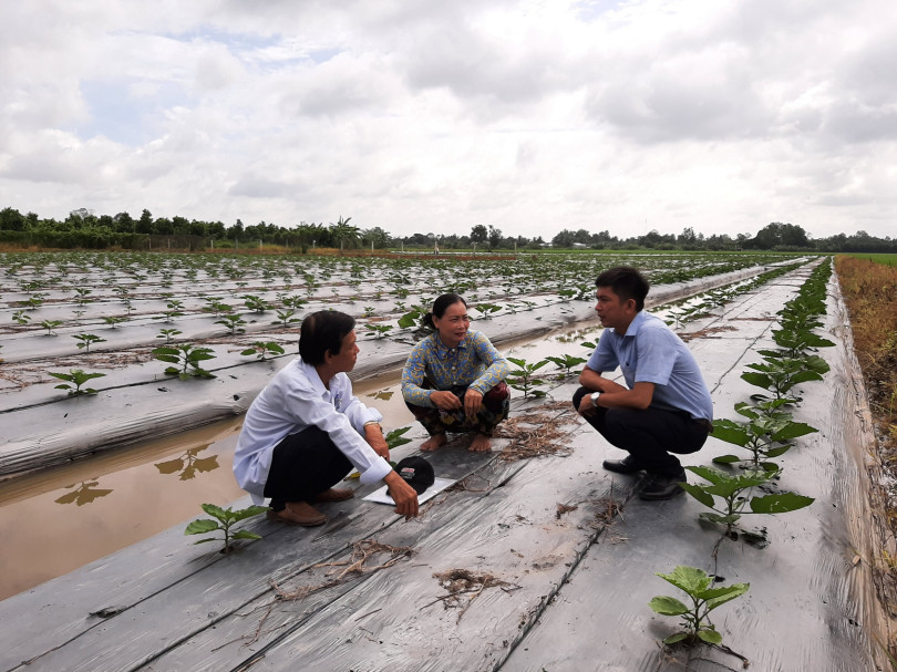 Trách nhiệm với nông dân