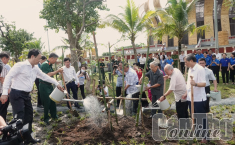 Tổ chức tiếp nhận và trồng tre tại Ðền thờ Vua Hùng TP Cần Thơ