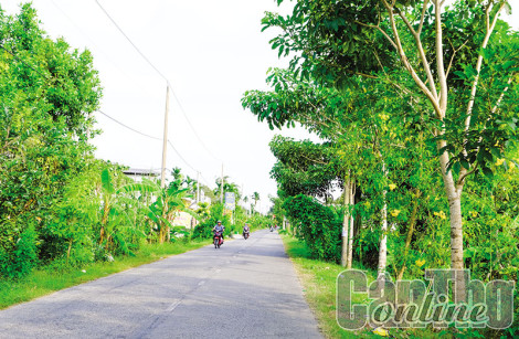 Xây dựng nông thôn mới nâng cao, kiểu mẫu ở Thới Lai