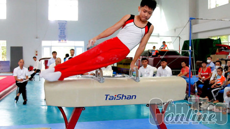 Ươm mầm tài năng