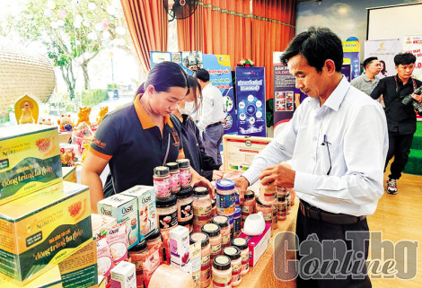 Khơi mạch giao thương, thu hút đầu tư tại ĐBSCL