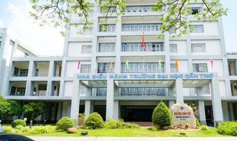 Trường Đại học Cần Thơ được đào tạo 3 ngành trình độ đại học, thạc sĩ lĩnh vực sư phạm