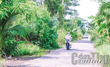 Vĩnh Thạnh đẩy nhanh tiến độ thi công các công trình, dự án