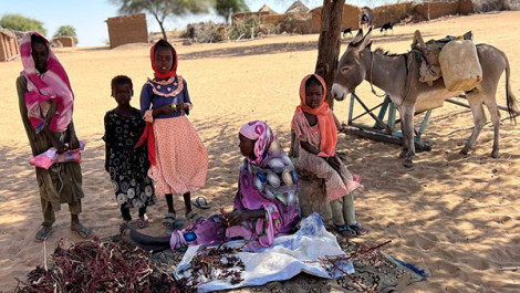 Liên Hiệp Quốc cắt giảm viện trợ lương thực vì khủng hoảng ngân sách