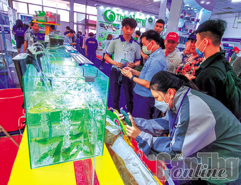 Tháo gỡ khó khăn cho sản xuất và xuất khẩu tôm