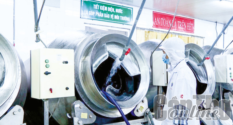 Đẩy mạnh các hoạt động sản xuất và tiêu dùng bền vững