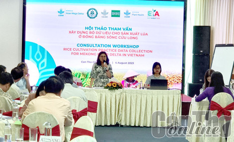 Thực hiện khảo sát và tiến hành xây dựng bộ dữ liệu cho sản xuất lúa ở ĐBSCL