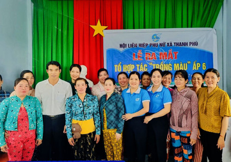Ra mắt Tổ hợp tác Trồng màu