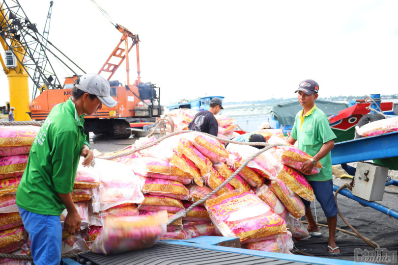 Thủ tướng Chính phủ chỉ thị đảm bảo an ninh lương thực, thúc đẩy sản xuất, xuất khẩu gạo bền vững