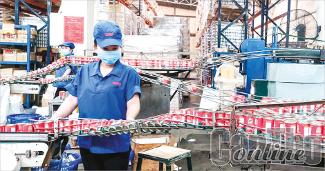 Các khu công nghiệp Cần Thơ thu hút 2 dự án đầu tư mới