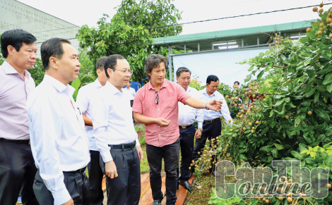 Các phong trào do Hội Nông dân phát động mang lại hiệu quả thiết thực, góp phần phát triển kinh tế - xã hội thành phố