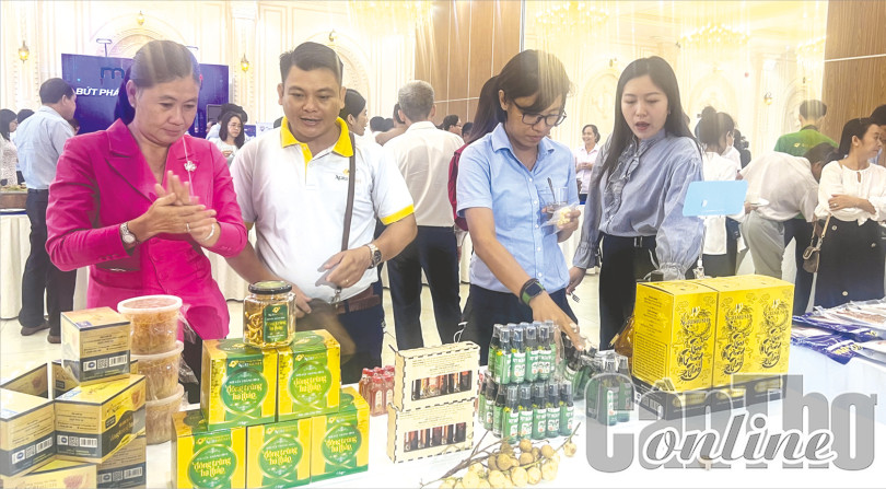 Hỗ trợ hợp tác xã tiếp cận các nguồn lực đầu tư phát triển kinh doanh