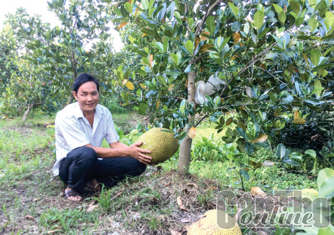 Tích cực lao động, ổn định cuộc sống