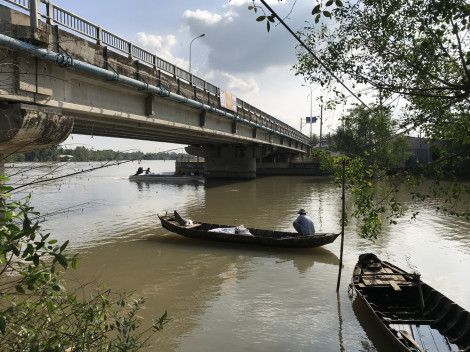 Bậu ăn cá bống