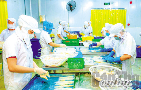 Hợp tác xã liên kết đưa nông sản an toàn tới tay người tiêu dùng