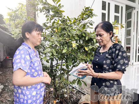 Nỗ lực hoàn thành các chỉ tiêu bảo hiểm xã hội, bảo hiểm y tế