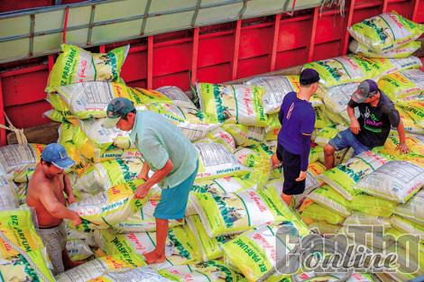 Ðảm bảo xuất khẩu và bình ổn thị trường gạo trong nước